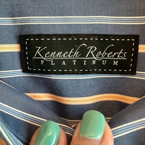 Kenneth Roberts Platinum Button Up Long-sleeve Men's XL Blue Tan Stripe Shirt - Picture 3 of 10